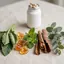 Ingrediente naturale pentru suplimentul Colladiox Pro: frunze de tătăneasă, rășină de conifer, frunze de mentă, scoarță de scorțișoară și frunze de eucalipt, aranjate ca ingrediente botanice pe o suprafață neutră.