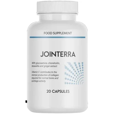 Jointerra