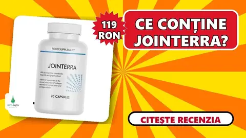 Jointerra: păreri, prospect și cum se administrează corect